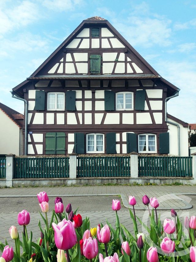 Maison 5 pièces 145 m² · à Hœnheim · 144,9 m² · 499 000 €